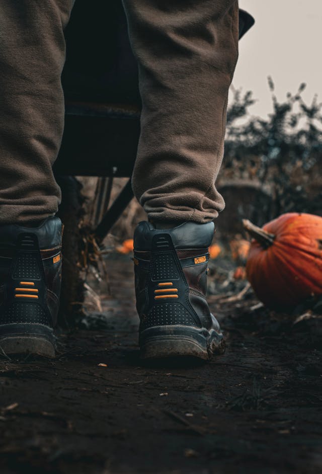 pexels-monika-szewczyk-1293046018-25872379